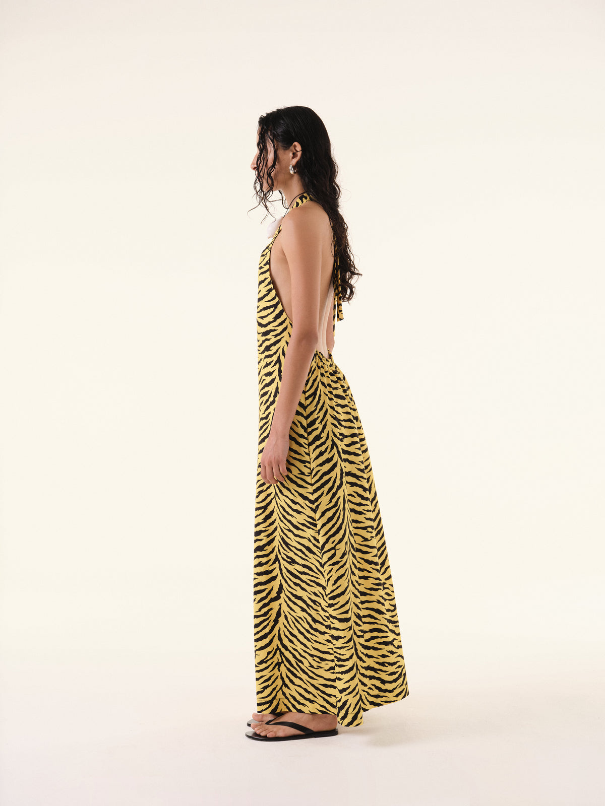 Zebra Maxi Dress