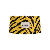Zebra Fes